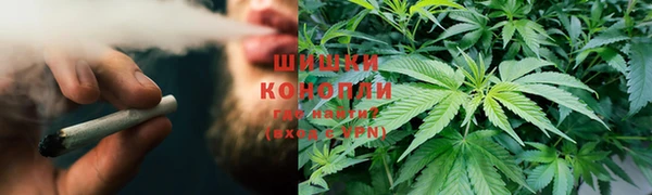 тгк Армянск
