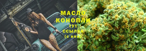 трава Осинники