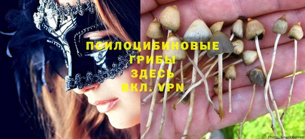 тгк Армянск
