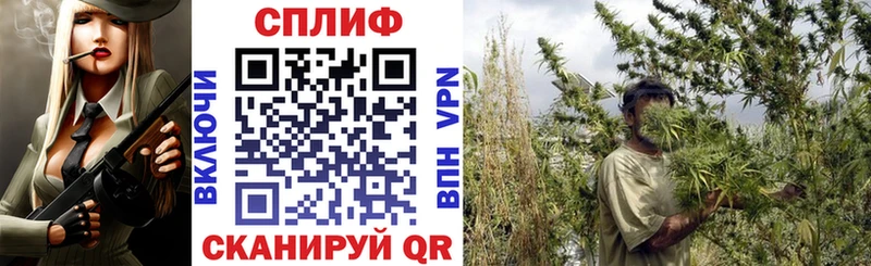 Купить закладки  Ардон  Бошки марихуана конопля 